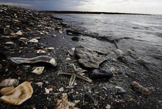 墨西哥湾的墨西哥湾漏油事件