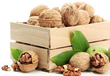 69 核桃的功效与作用   核桃,落叶乔木,原产于近东地域,又称胡桃,羌