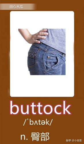 buttock(臀部)
