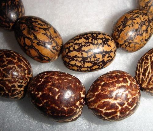 引用:菩提子的种类(并分别配有照片) - 曦雾 - 山含浅黛 草含烟