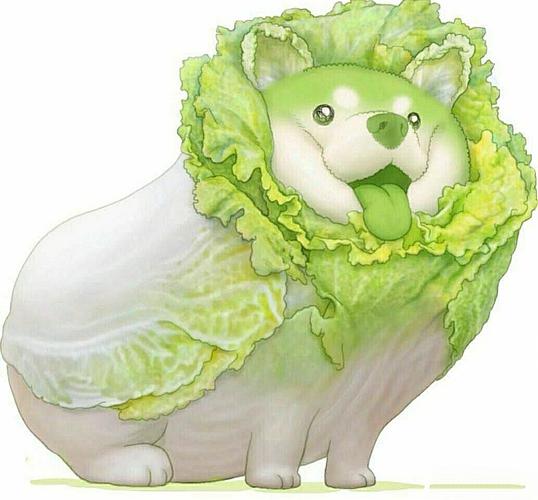 救命,这是一个关于一只菜狗的死亡,入股不亏