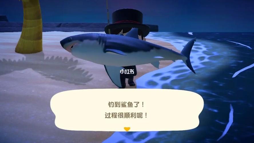 动物森友会 出海 星星岛 捡星星!钓鲨鱼!