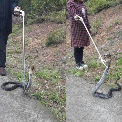捕蛇器 捕蛇钳 抓蛇钳子蛇夹子捕蛇工具 新款折叠捕蛇