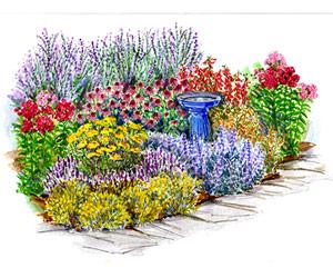 花境效果图
