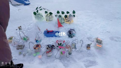 哥伦比亚英语幼儿园冰雕展_幼儿园_冬天去哪玩_幼儿_教育_学前教育