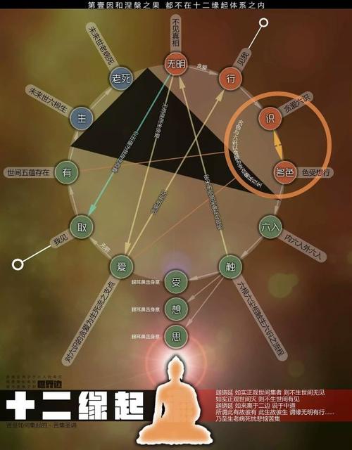 可以这么理解十二因缘吗,行=爱 取,识=有,对吗?