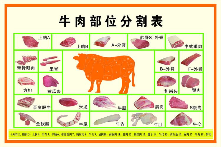 牛肉分解部位高清图 u盘礼品