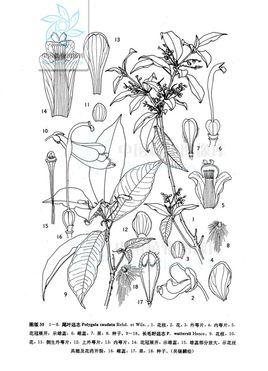 简笔画 手绘 线稿 268371 竖版 竖屏