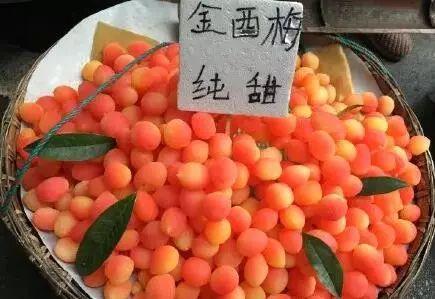 食药分享 | 颜值爆表的网红"金西梅",竟然不是正经水果