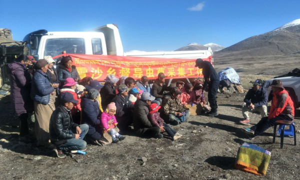 雪沙乡