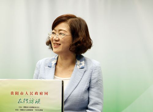 吴宏春谈本次数博会目前展览筹备进展情况
