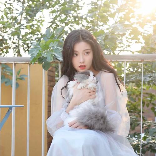 公司的操作投票和官方的操作就从实力出发,张楚寒具不具备出道的实力?