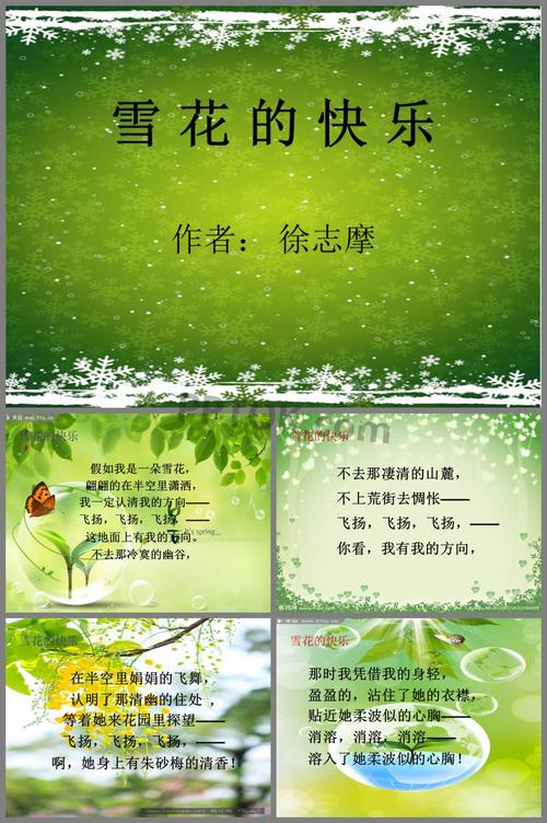 雪花的快乐ppt幻灯片课件