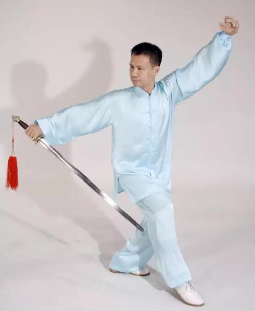 陈思坦太极剑势