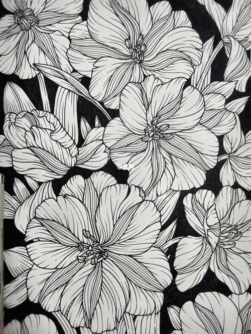 针管笔|黑白线条花卉图案装饰画|郁金香_装饰画_郁金香_花卉_针管笔