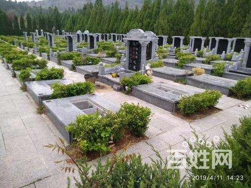 枣庄莲花山公墓,墓地,生态陵园,*宝地