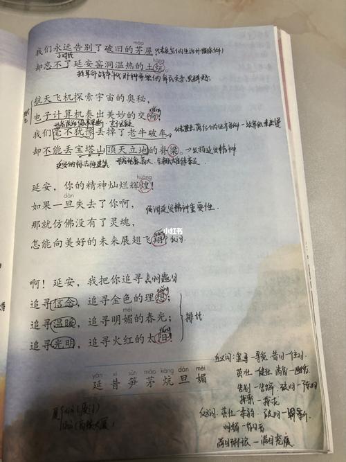 四年级语文上册第24课笔记_语文_学习_学习日常_教育