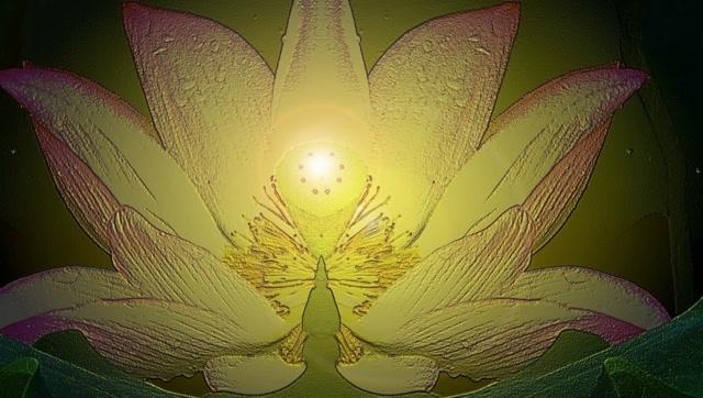 云飞儿一首愿做菩萨那朵莲,清净淡雅,百听不厌!