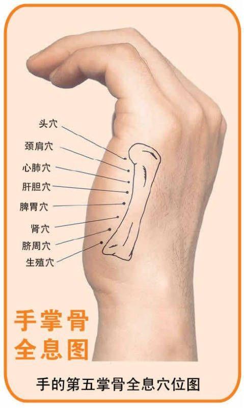 古法经络调理穴位图