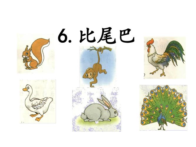 部编版一年级上册语文课文6《比尾巴》ppt课件