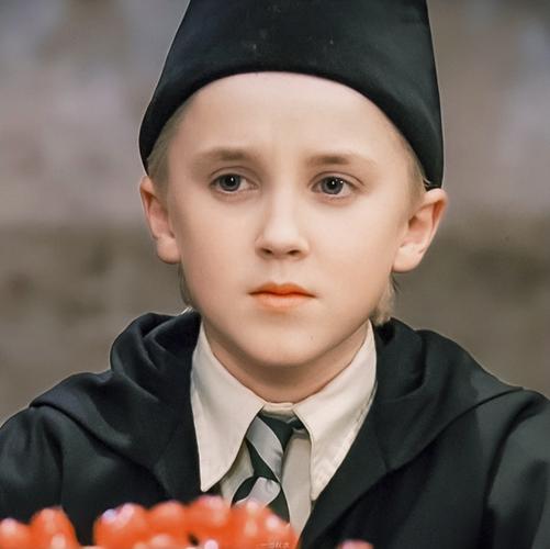 【德拉科·马尔福壁纸/头像】少爷帅呆了