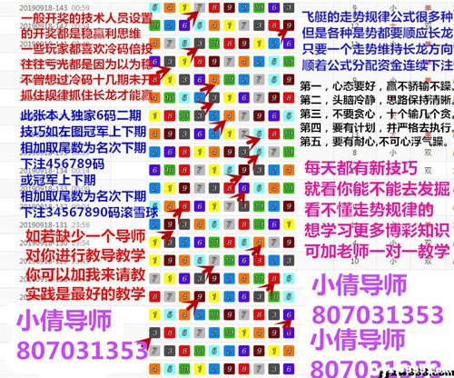 2020年揭秘北京赛车冠军定位胆大盘点走势技巧公式规律分享给大家交流
