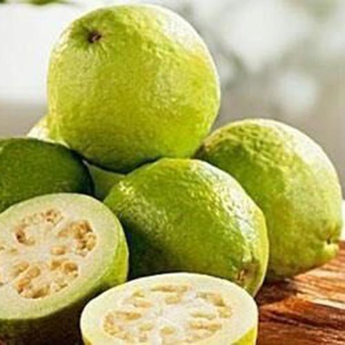 福建漳州 现摘芭乐 番石榴水果新鲜农家特产 农家自产芭乐