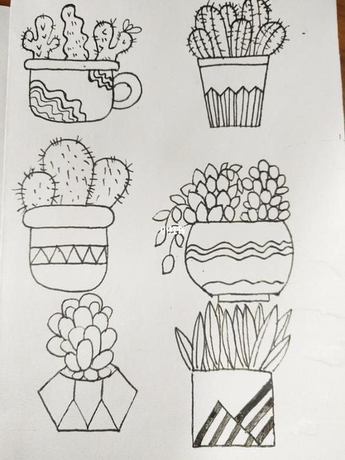 植物简笔画 儿童简笔画 仙人掌 多肉_简笔画_多肉植物