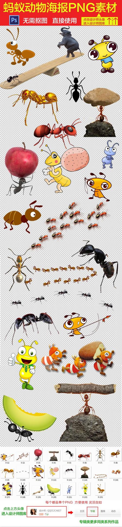 卡通蚂蚁动物图片海报素材