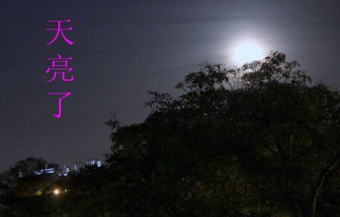 [转载]原创 天亮了