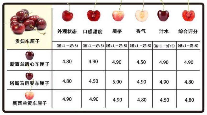 地理探究智利车厘子产量不是全球最大为何能占领中国市场