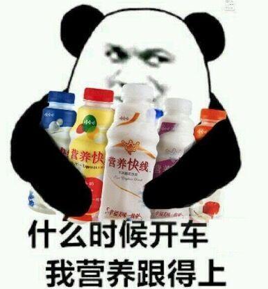 什么时候开车,我营养跟得上_跟得上_开车_营养_时候_什么表情