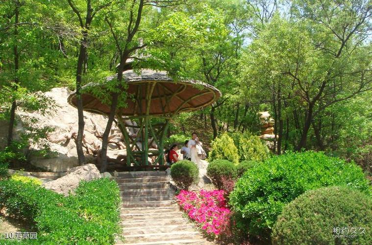 大连童牛岭旅游攻略 之 芳草园(10/共12页)