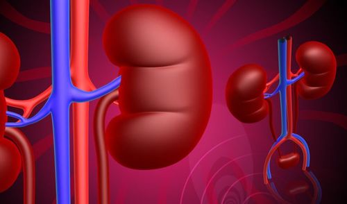 糖尿病肾病综合性的基本病症高血压蛋白尿