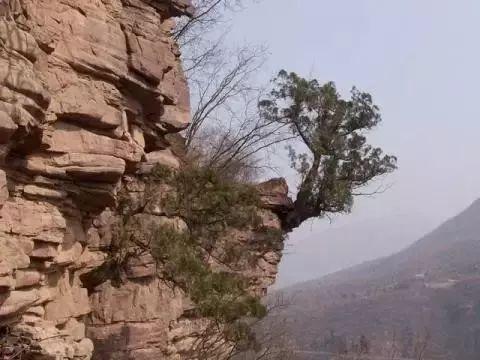 民间传说隋炀帝之女南阳公主在苍岩山出家