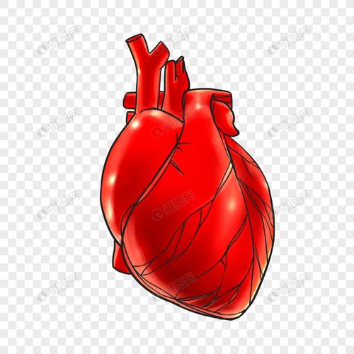 手绘心脏