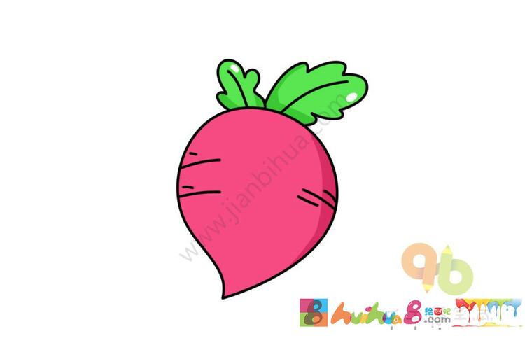 水萝卜简笔画图片教程