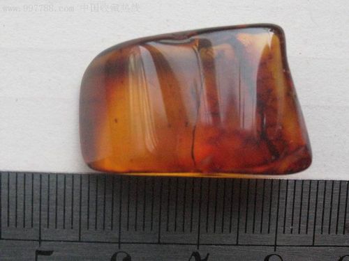 琥珀中的极品-一块琥珀中有近10个亿万年前的小毘虫