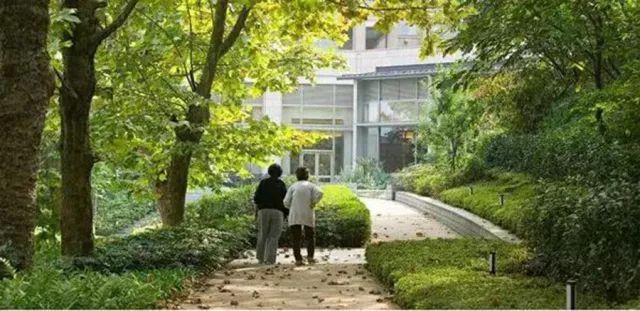 [分享]植物景观设计要点分析 ——在医疗与养老空间中的运用