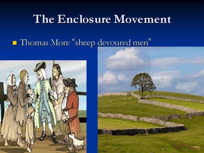 the enclosure movement   thomas more "sheep devoured men"