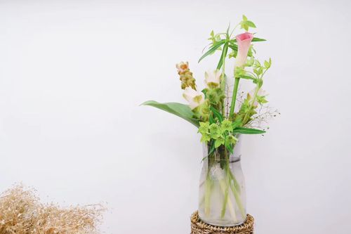 马蹄莲插花野路子 - 堆糖,美图壁纸兴趣社区