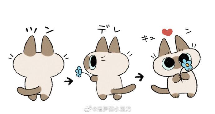 暹罗猫小豆泥##521
