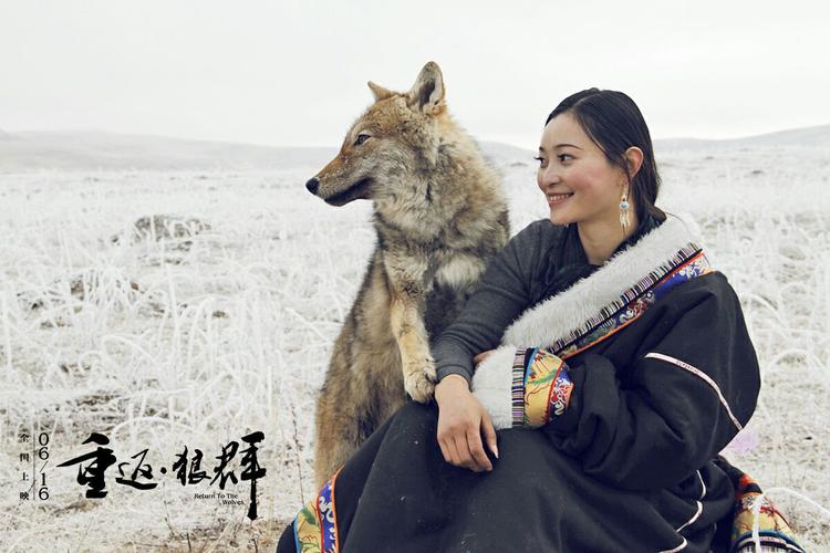 716屈新一读《重返狼群》有感