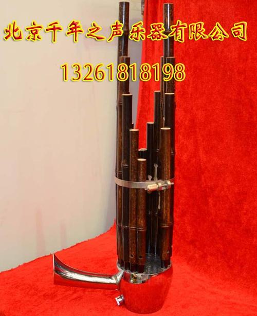 民族吹奏乐器笙 17簧工艺品竹笙 儿童笙 黑檀笙角 送随形包
