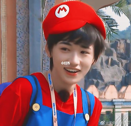 一个宋亚轩牌马里奥99_宋亚轩_时代少年团_笔刷_时代少年团宋亚轩