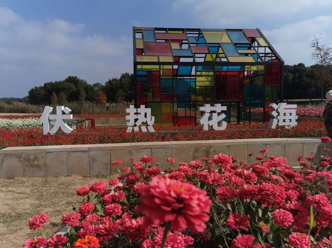 句容伏热花海,得撒豆腐村