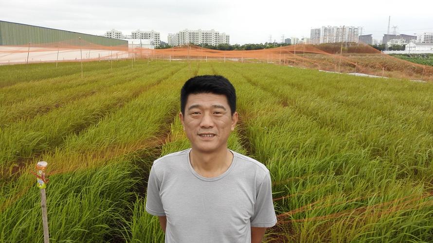 见识周晓东战友的海南育种基地