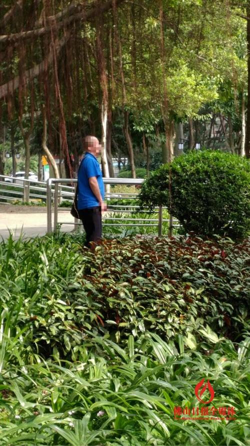厕所没几步远 他偏就近解决 南浦公园随地便溺惹心塞