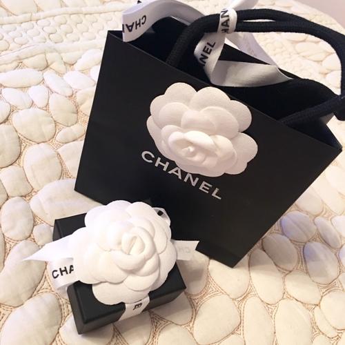 chanel香奈儿我的白茶花情节