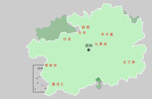 贵州中药材资源分布图